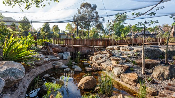 melbourne-zoo_hero-image