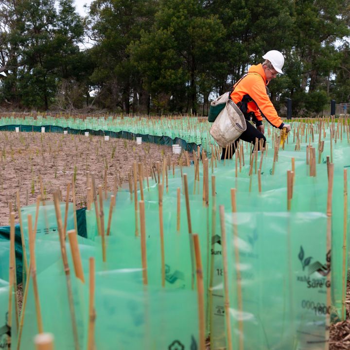 sustainability policy