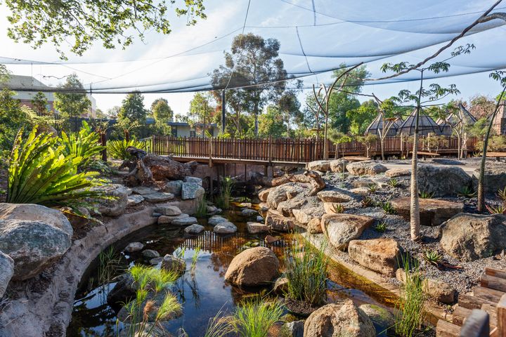 Melbourne Zoo