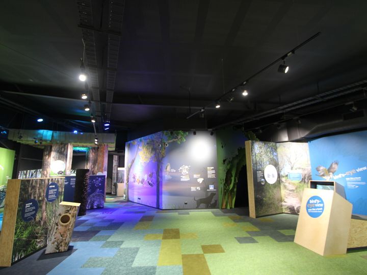 karawatha-forest-discovery-centre-(4)