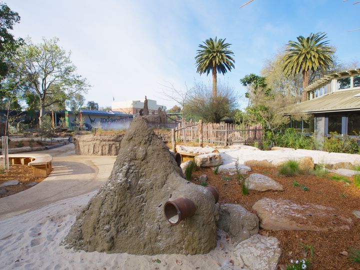 melbourne-zoo-(8)