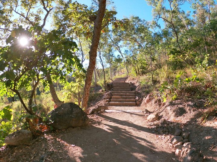 mount-louisa-walking-trail-(4)