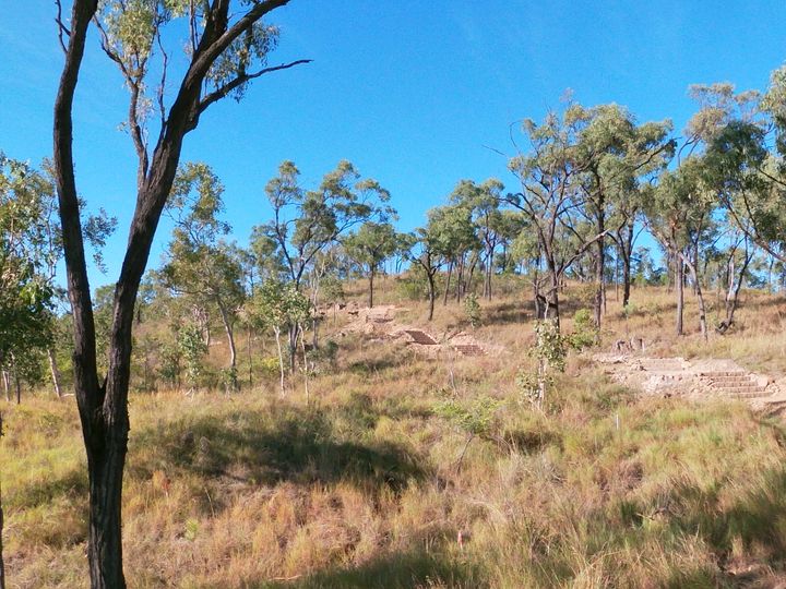 mount-louisa-walking-trail-(5)