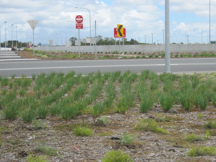 port-of-brisbane-motorway-upgrade-(port-connect)-(1)