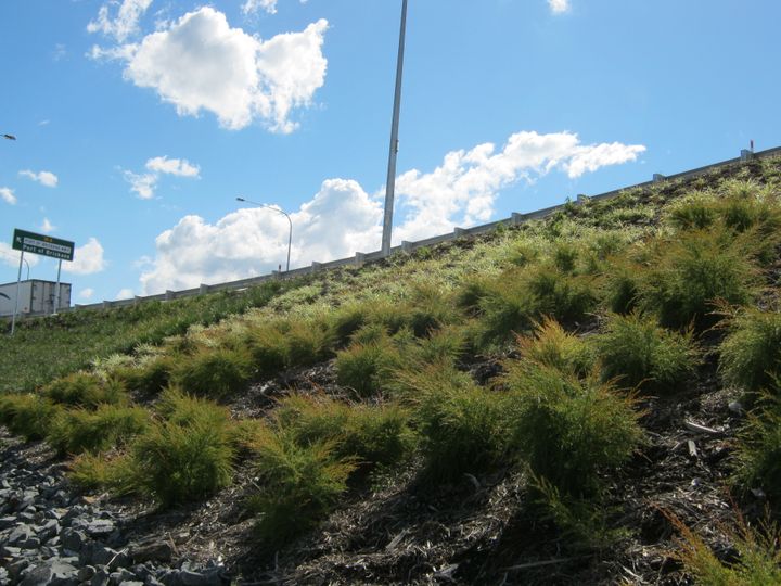 port-of-brisbane-motorway-upgrade-(port-connect)-(5)