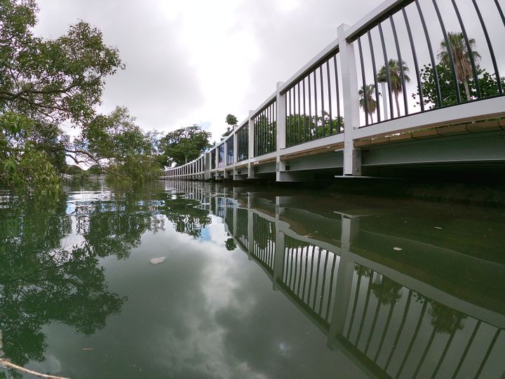 townsville-central-park-boardwalk-(1)
